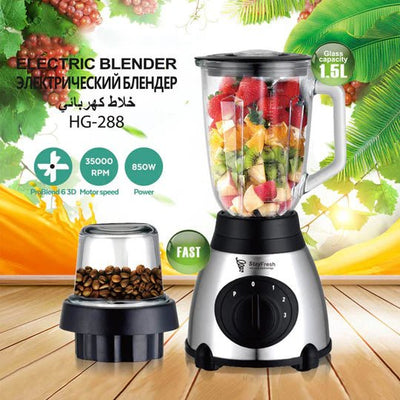 Electric Juicer